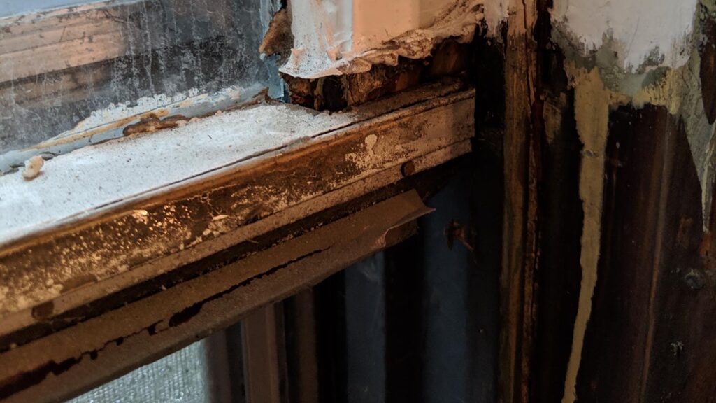 Weathered window frame with peeling paint and rotting wood restoration.