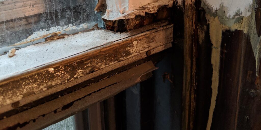 Weathered window frame with peeling paint and rotting wood restoration.